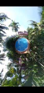 a large blue swimming pool in the middle of trees at Wilson Ayurvedic Beach Resorts in Kovalam