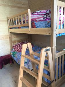 two bunk beds in a room with a bed at Marine's Guest House in Ananuri