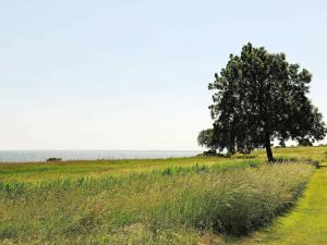 een boom in een veld met de oceaan op de achtergrond bij 6 person holiday home in Ebberup in Helnæs By