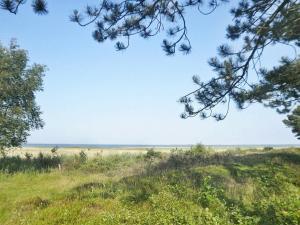 a view of the beach from a field with trees at 5 person holiday home in R m in Rømø Kirkeby