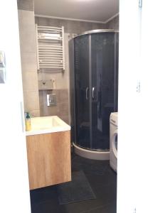 Kúpeľňa v ubytovaní Apartament 27