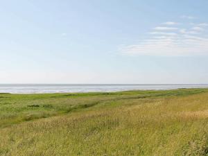 un campo de hierba con el océano en el fondo en 6 person holiday home in H jer, en Emmerlev