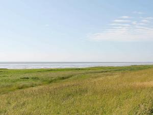 a field of grass with the ocean in the background at 6 person holiday home in H jer in Emmerlev