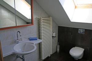 a bathroom with a sink and a toilet at B&B Le Tapis Rouge in Vielsalm