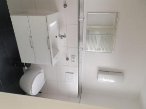 a white bathroom with a toilet and a shower at FeWo Louise in Kinderbeuern