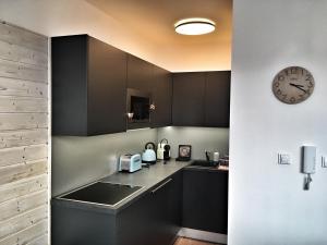 Kuchyňa alebo kuchynka v ubytovaní Apartmán Bambi Kvilda