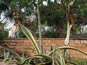 Foto dalla galleria di Angelos Studios a Párga