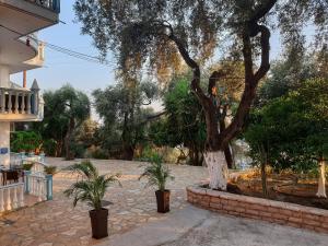 Foto dalla galleria di Angelos Studios a Párga