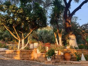 Foto dalla galleria di Angelos Studios a Párga