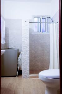 ein Bad mit einem WC und einer Dusche in der Unterkunft Vittoria House Apartments 209-210 in Bayahibe