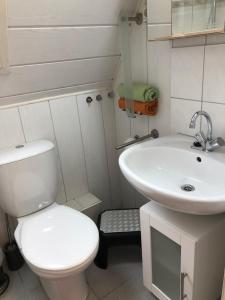 La petite salle de bains est pourvue de toilettes et d'un lavabo. dans l'établissement Pension Haus Barbara Oberhof, à Oberhof