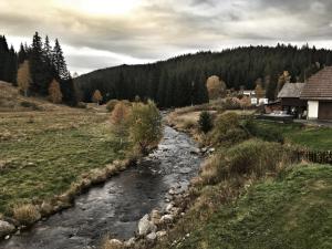 Príroda v okolí apartmánu
