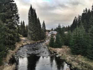 Príroda v okolí apartmánu
