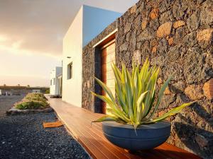 a plant in a blue pot sitting on a wooden deck at Villa Shepherd Lajares - LUXURY VILLA FUERTEVENTURA in Lajares