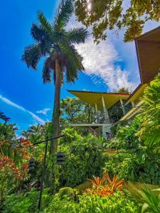 uma palmeira em frente a uma casa em Si Como No Resort & Wildlife Refuge em Manuel Antonio