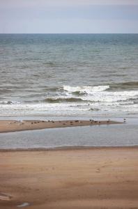Φωτογραφία από το άλμπουμ του Hotel Les Mouettes σε Wenduine