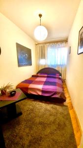 a bedroom with a large bed in a room at Apartman Hedonist in Vračar (historical)
