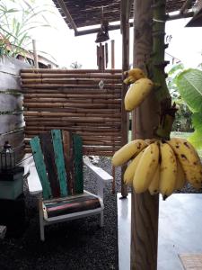 Ein Haufen Bananen hängt von einem Baum neben einem Stuhl in der Unterkunft The BlueBamboo in Le Moule