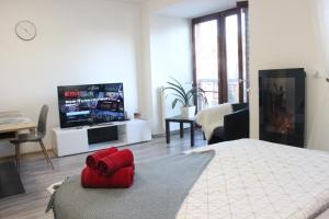 TV a/nebo společenská místnost v ubytování Luxury Studio in the heart of Beroun