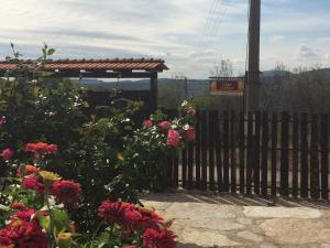 A garden outside Casa Lambuh