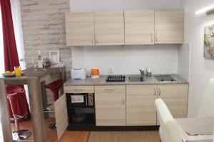Kuchyň nebo kuchyňský kout v ubytování Apartmán se zahrádkou v krásné čtvrti Berouna