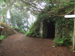 an old building in the middle of a forest at Casa del Cu bano B- Biosphere Reserve in Santa Cruz de Tenerife