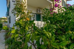 Zahrada ubytování Apartments Mate
