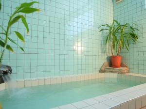 a swimming pool with a potted plant in a bathroom at Hotel Moc in Myoko