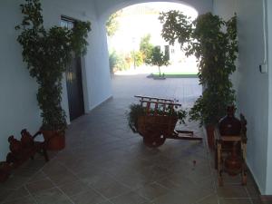 Ogród w obiekcie Hacienda Rural Molino Viejo
