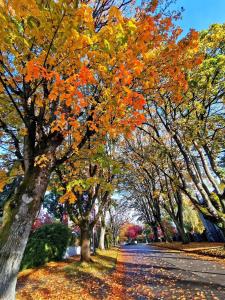 Fotografie z fotogalerie ubytování Dunbar Home v destinaci Vancouver