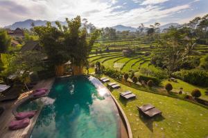 uma vista superior para uma piscina com cadeiras e um jardim em Sawah Indah Villa em Sidemen