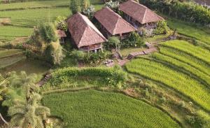 an aerial view of a house in a field at Sawah Indah Villa in Sidemen