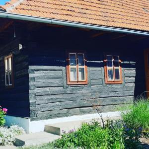 a wooden house with two windows on the side of it at Drevenica Raj in Bystrička