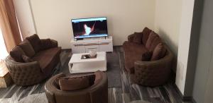 ein Wohnzimmer mit 2 Stühlen und einem TV in der Unterkunft Apartman Jovicevic Pavle in Rijeka Crnojevića
