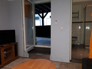 a living room with a mirror and a toilet at Ferienwohnung Castelnau in Trier