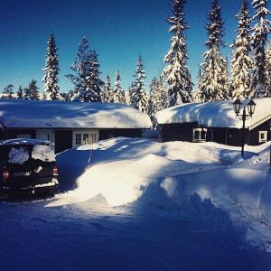 dom pokryty śniegiem przed drzewami w obiekcie Gilleråsvägen 13 B w mieście Sälen