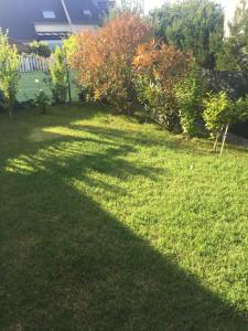 a shadow of a tree on the grass at Voltaire in La Turballe +3 photos