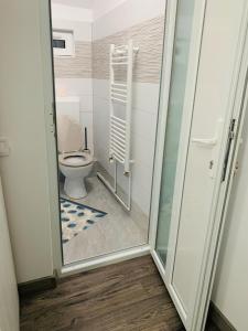 Ένα μπάνιο στο Pensiunea Colț de Rai +80 φωτογραφίες