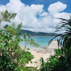 a beach with a bridge leading to the ocean at Sakai Guest House AMAMI（堺ゲストハウス奄美） in Setouchi