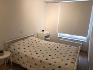 Schlafzimmer mit einem Bett und einem Fenster in der Unterkunft VAKANTIE APPARTEMENT ALLURE, met zuidgericht tuintje in Ostende