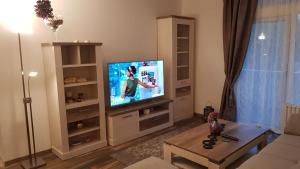 een woonkamer met een flatscreen-tv op een entertainmentcentrum bij Ferienwohnung Univers 2 in Bad Harzburg