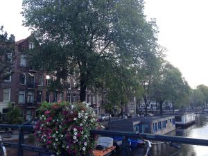 Foto de la galería de Great Apartment Amsterdam en Ámsterdam