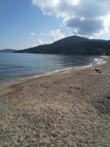 Fotografie z fotogalerie ubytování Dimitris Apartments Messongi v destinaci Mesongi + 6 fotografií