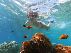 Imagen de la galería de Rosemary Boutique, en Maafushi