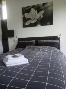 een bed met twee handdoeken bovenop bij Bij Maus in Opeinde