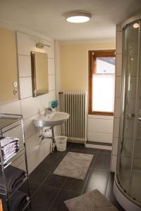 y baño con lavabo y ducha. en Apart Stanzertal, en Pettneu am Arlberg