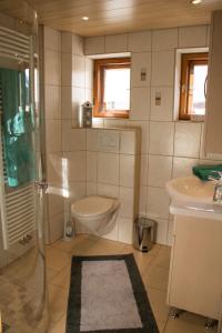 y baño con aseo y lavamanos. en Apart Stanzertal, en Pettneu am Arlberg
