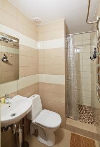 a bathroom with a toilet and a sink and a shower at Apartment on Lychakivska in Lviv