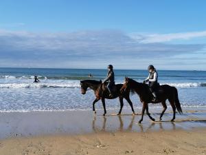 duas pessoas estão a andar a cavalo na praia em La Maison à Carnac avec son jardin clos de 2 à 6 personnes à 5 mn des plages em Carnac