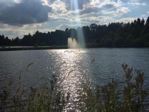 Příroda nedaleko apartmánu + 1 fotografie